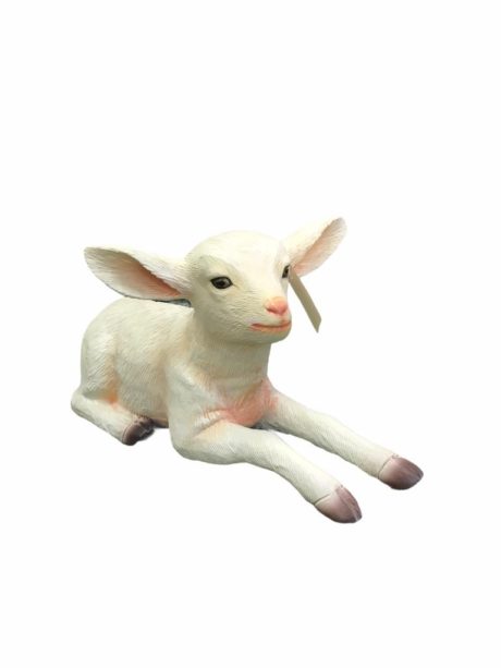 Goat Kid Lying .50ft.