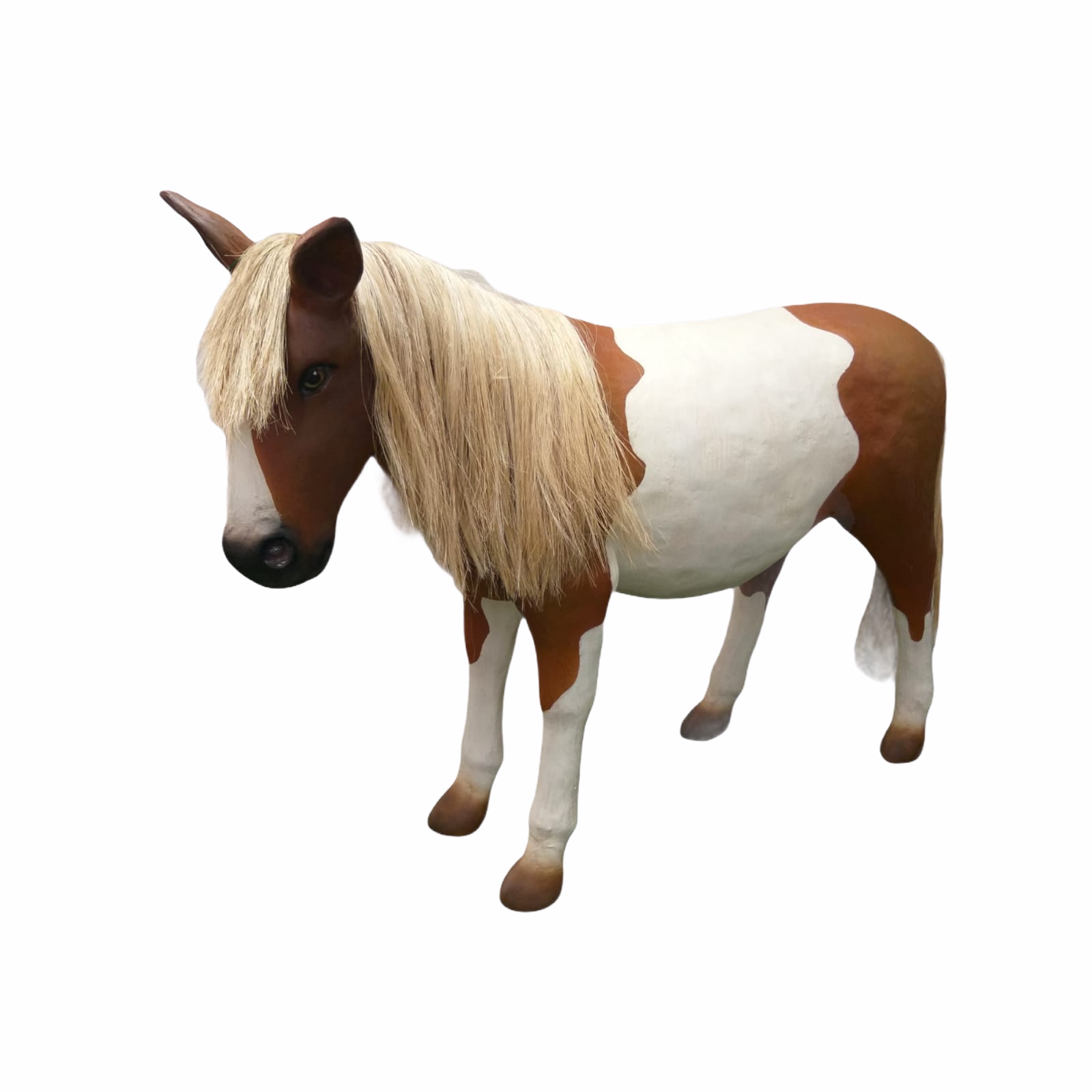SHETLAND-PONY-2485