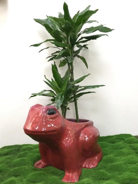 GLAZED ANIMALS  FROG RED 51X36X41CM OD0596