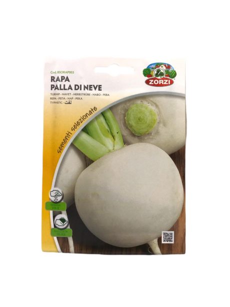 Zorzi Palla Turnip BSORAP003