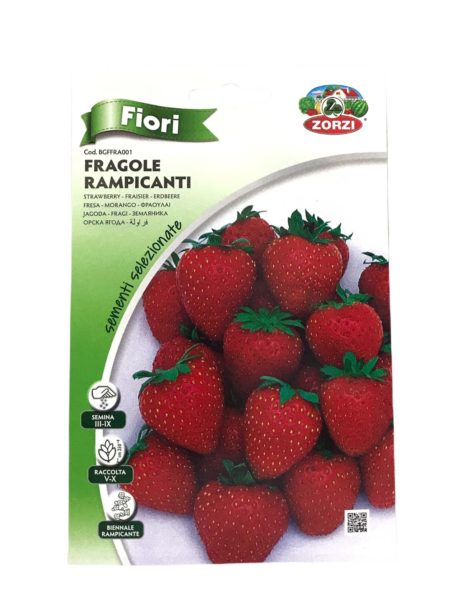 Zorzi Rampicanti Strawberry BGFFRA001