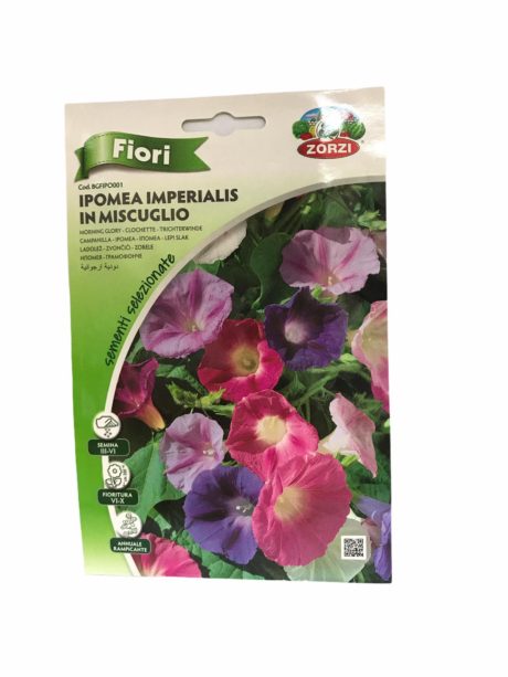 ZORZI MORNING GLORY 2GR. BGFIPO001