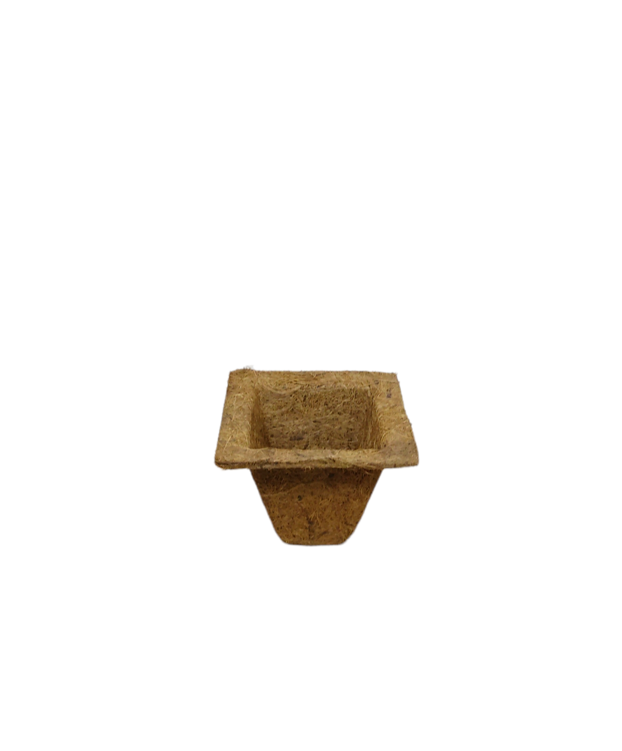 Coco 3 inch Spanish cup