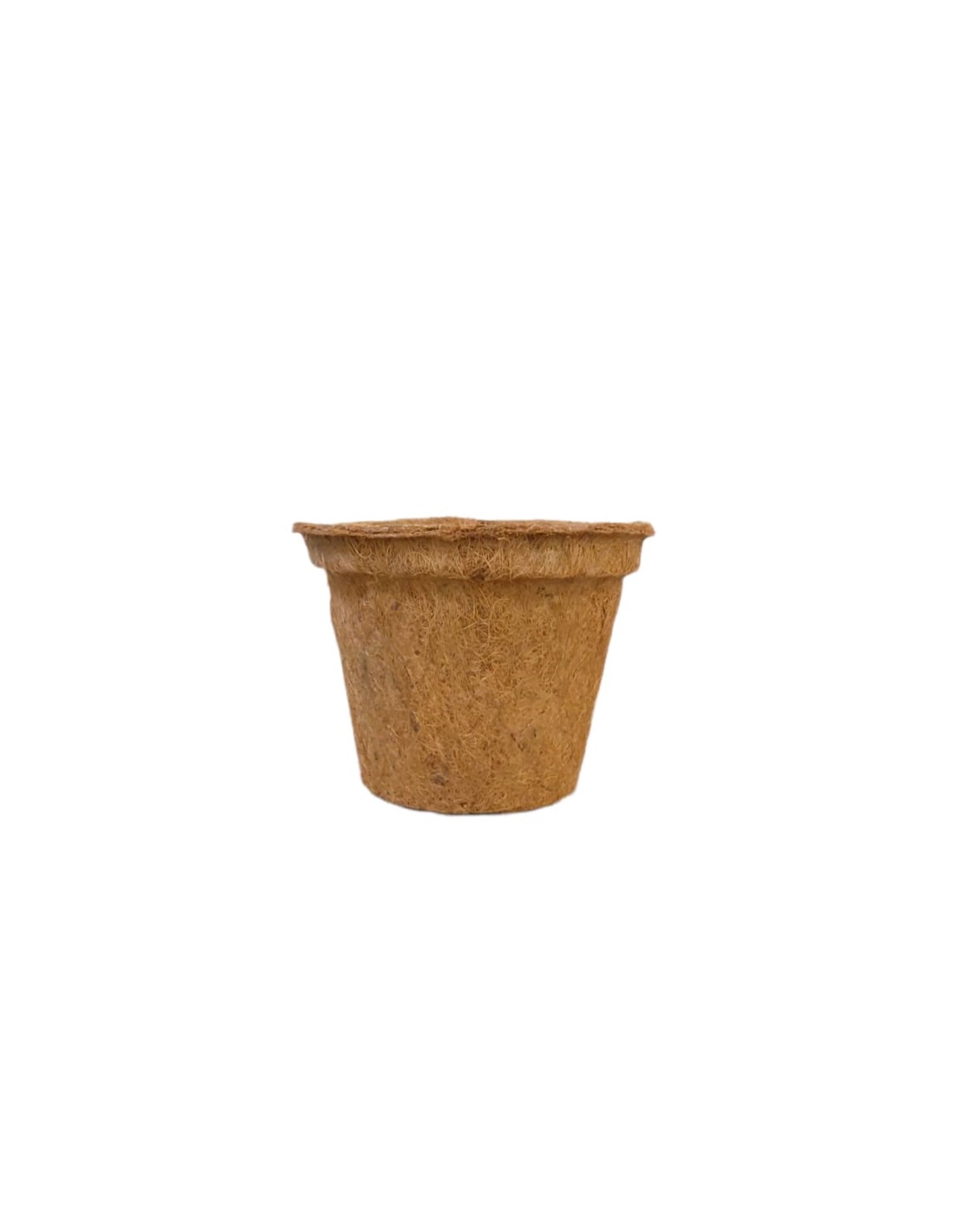 coco pot 8 inch 1