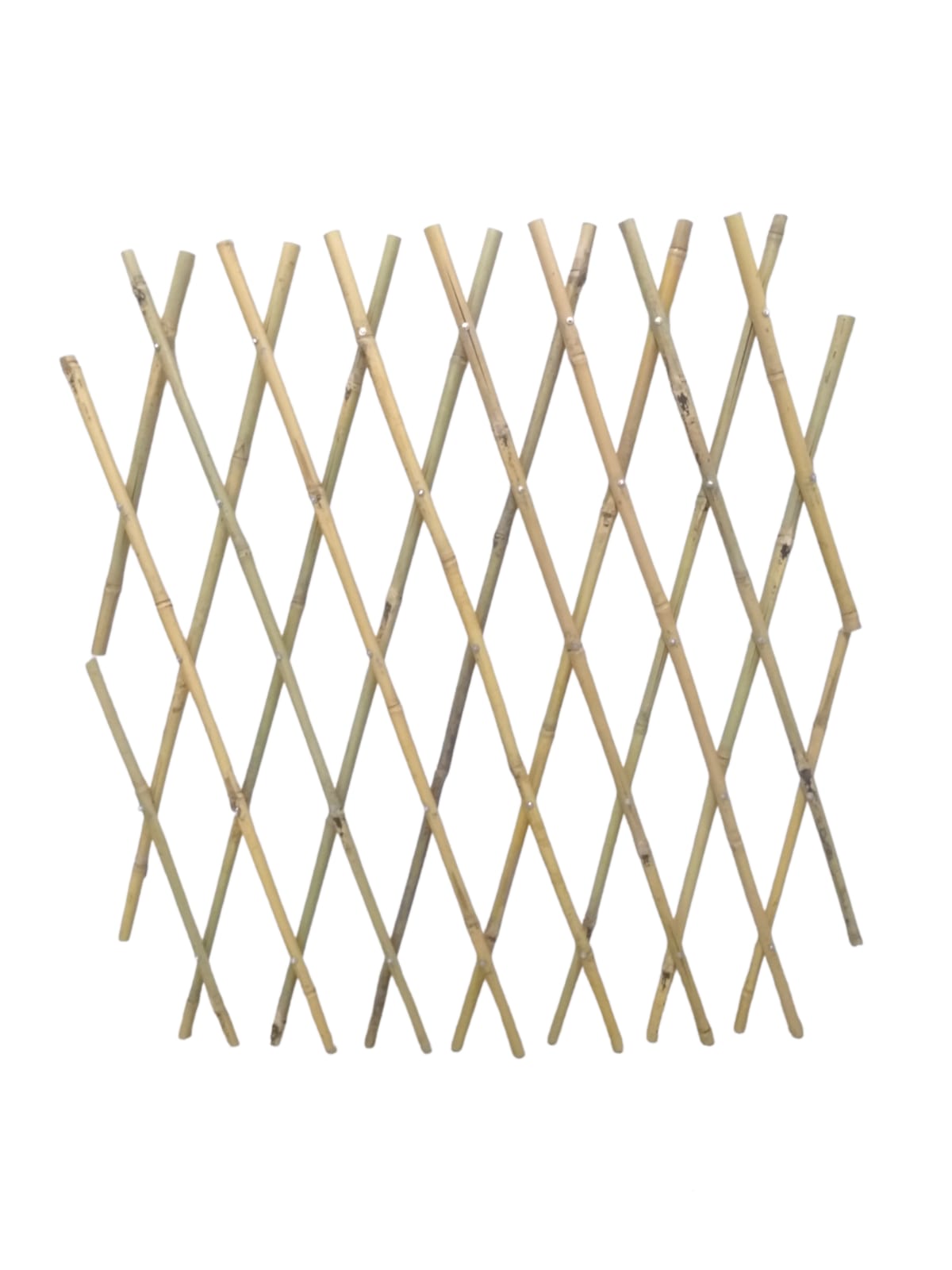 600X1800MM