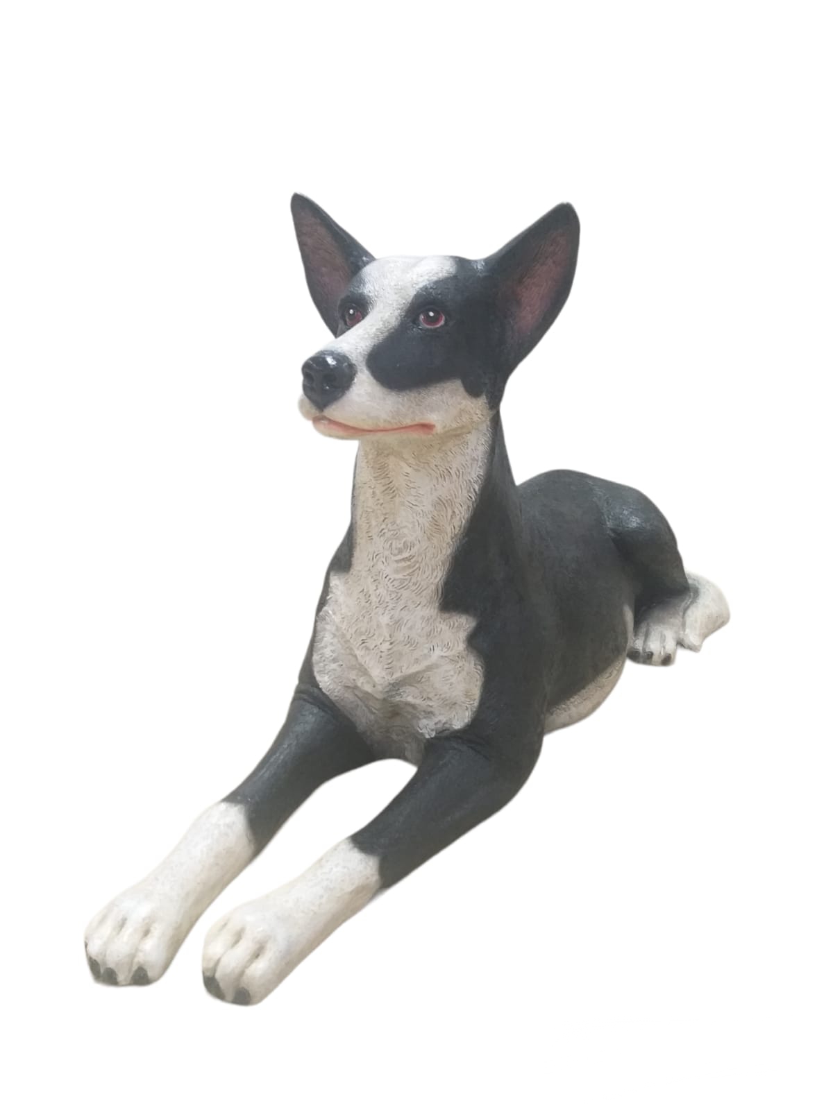 KELPIE LYING DOWN