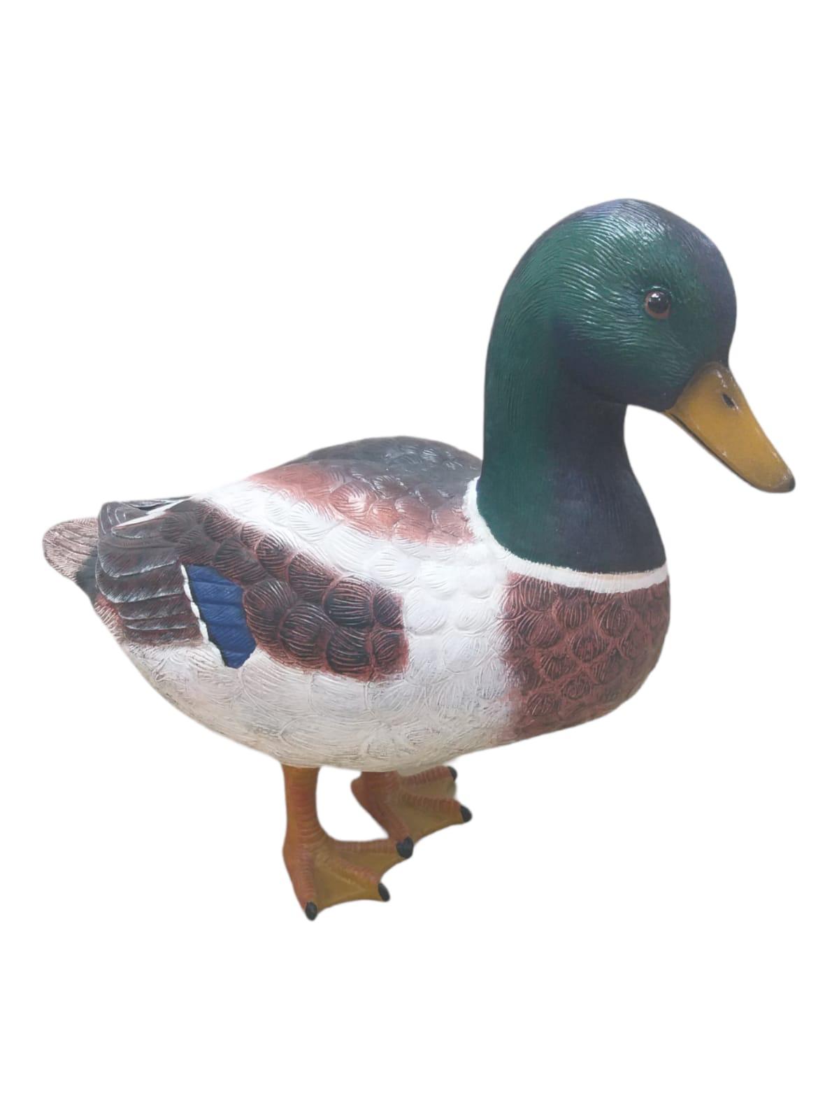 MALLARD DUCK 24