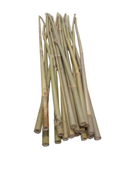 BAMBOO POLES 10-12MM 90CM