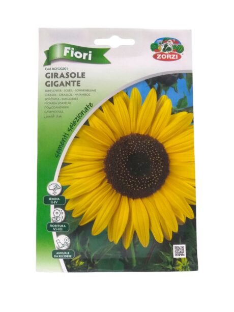 ZORZI SUNFLOWER 120CM 1gr. BGFGIG001