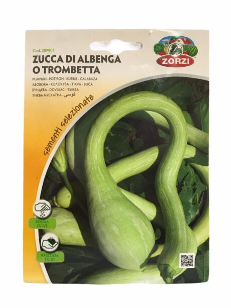 ZORZI PUMPKIN TROMBETTA 4gr. BSOZUE101