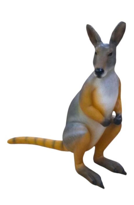 WALLABY STANDING