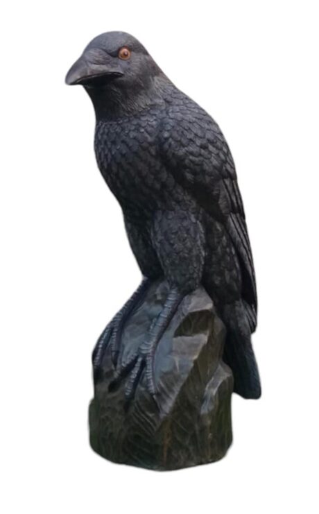 GIANT MYSTIC NIGHT RAVEN