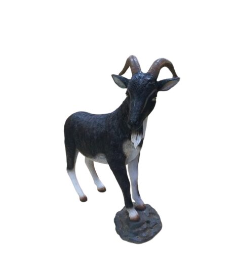 BILLY GOAT BLACK&WHITE