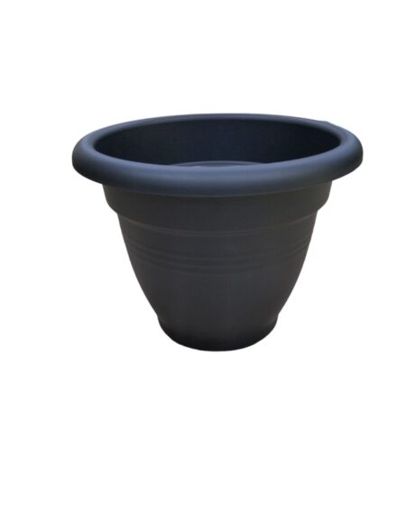 GREEN BASIC COMPANA 35CM BLACK