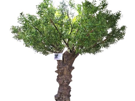 Artificial Olive Tree 3.5mtr