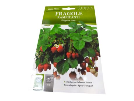 Hortus strawberry 0.10gr