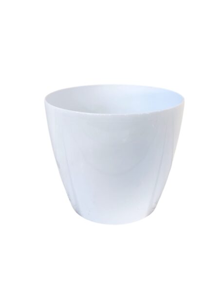 PLL Magnolia White H22 X D25cm