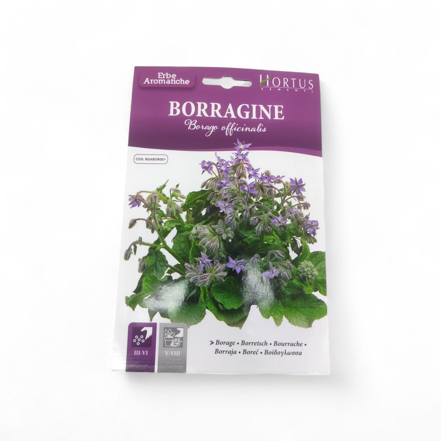 Hortus Borage
