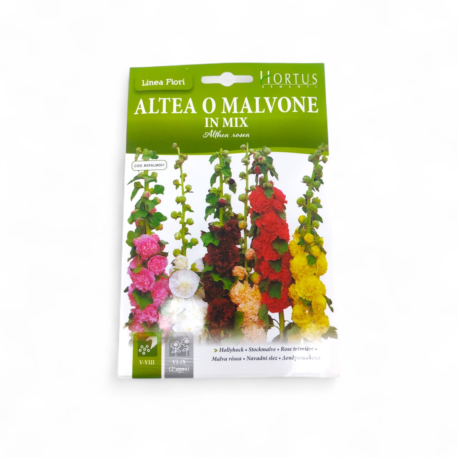 Hortus Hollyhock