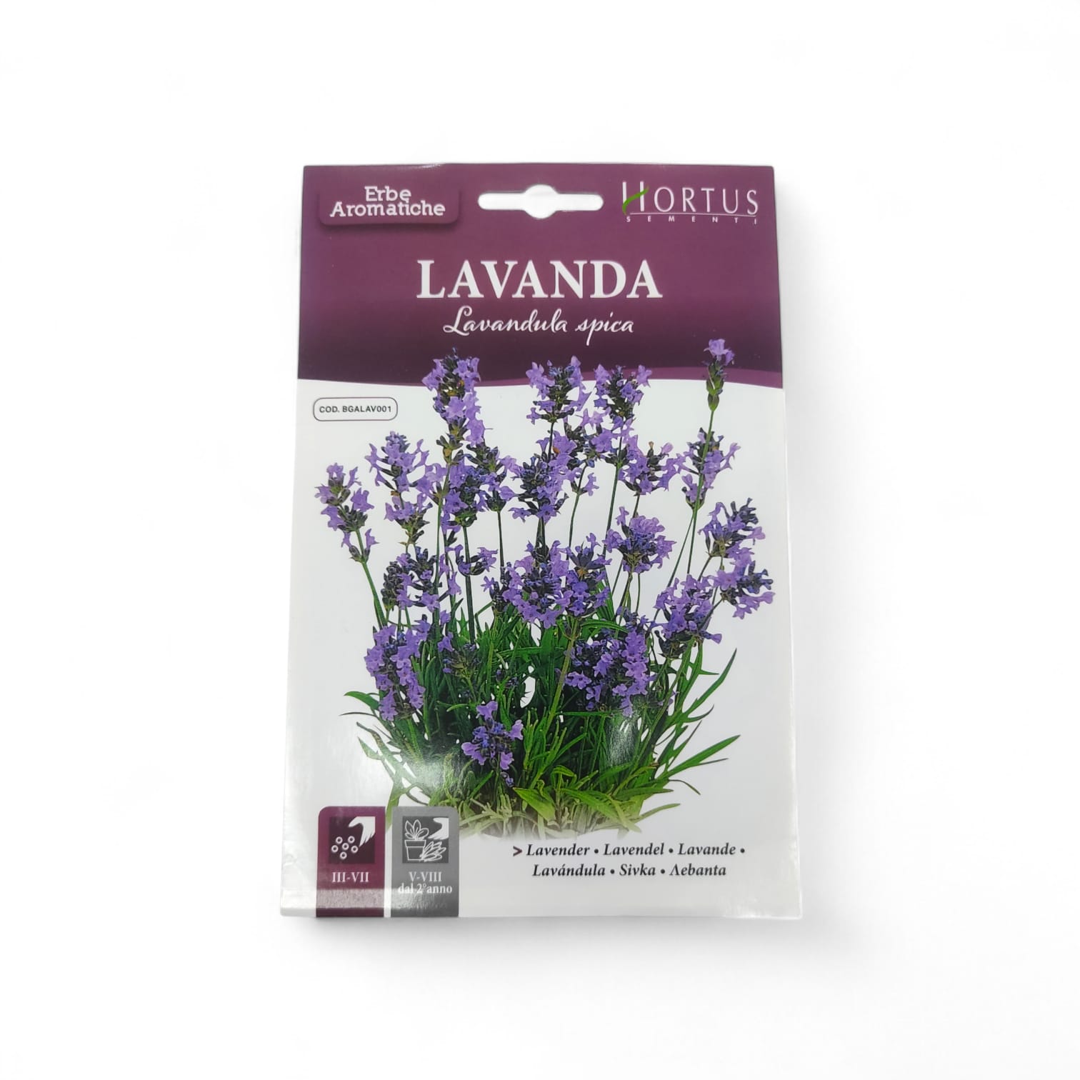 Hortus Lavender